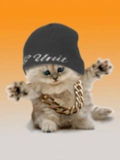 Hip_Hop_Cat.jpg